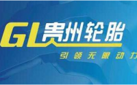 貴州輪胎披露新項(xiàng)目環(huán)境影響報告書